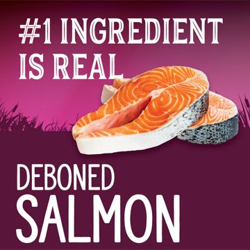 Triumph Wild Spirit Deboned Salmon & Sweet Potato Cat Food