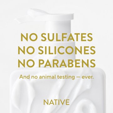 Native Curl Care Conditioner - Coconut Milk & Turmeric, 16.5 oz