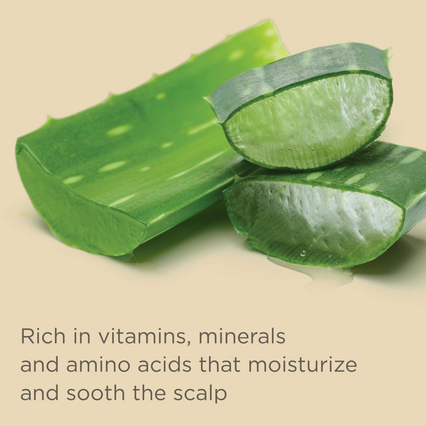 Hairitage Outta My Hair Gentle Daily Shampoo Shop Shampoo