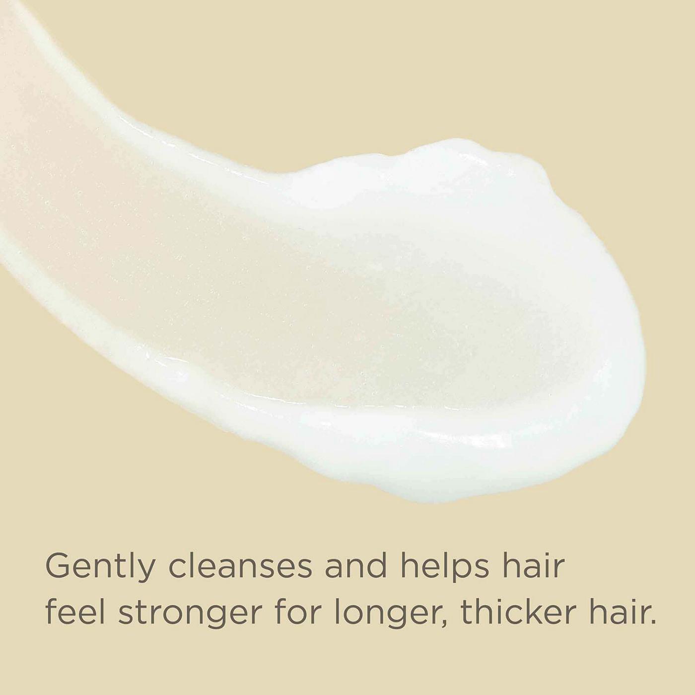 Hairitage Length Check! Biotin Infused Shampoo; image 6 of 9