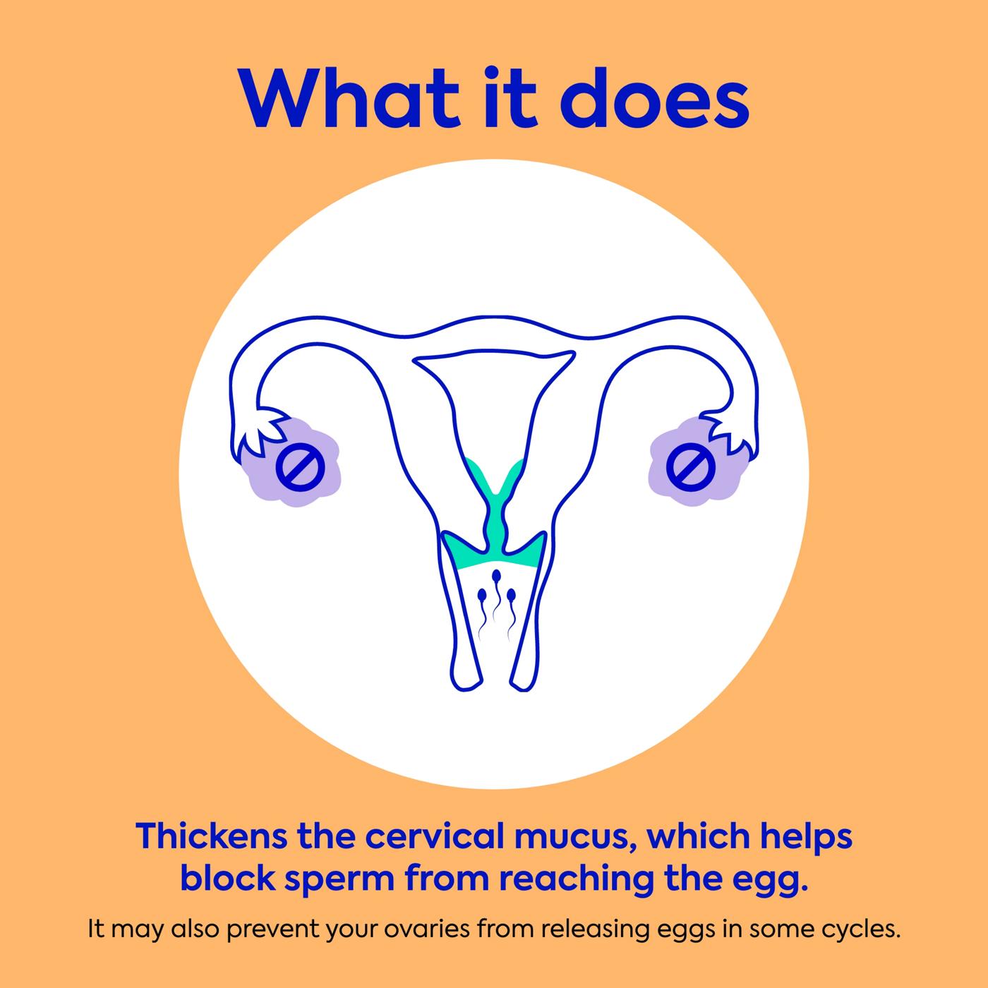 Opill Daily Oral Contraceptive Norgestrel Tablets - 0.075 mg; image 4 of 11