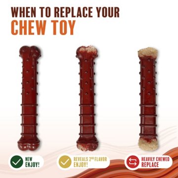 Nylabone Durachew Power Chew Basted Blast Flavor