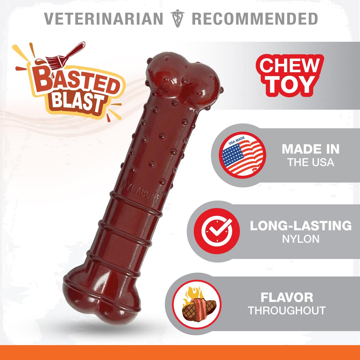 Nylabone Durachew Power Chew Basted Blast Flavor; image 9 of 10