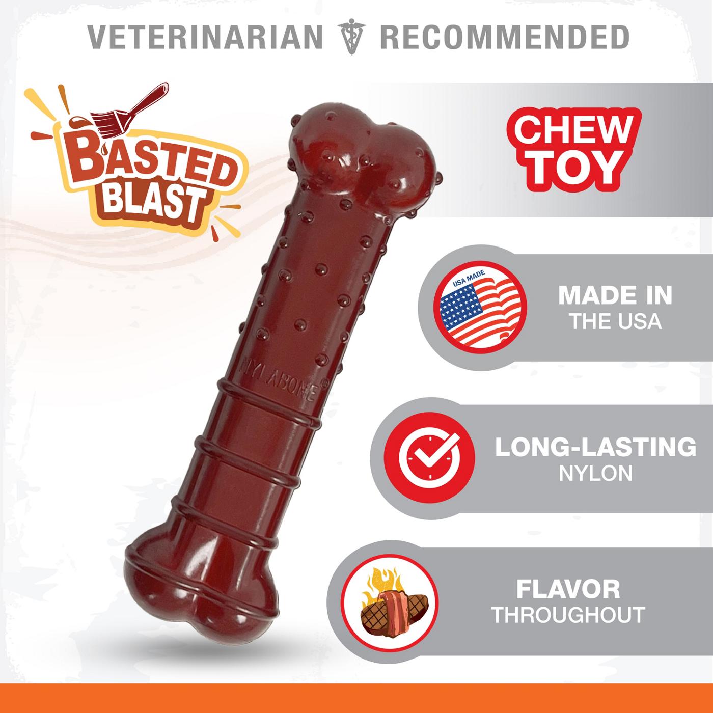 Nylabone Durachew Power Chew Basted Blast Flavor; image 10 of 10