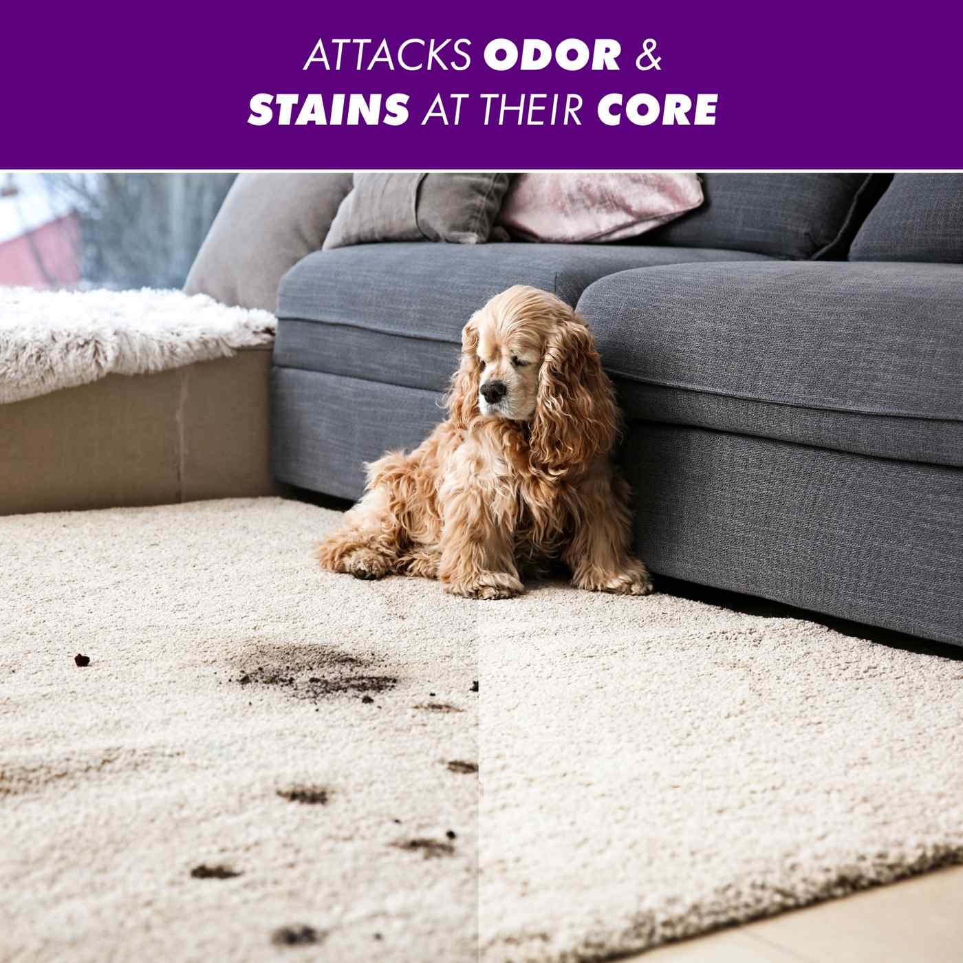 OxiClean Odor Blasters Laundry Odor & Stain Remover; image 7 of 16