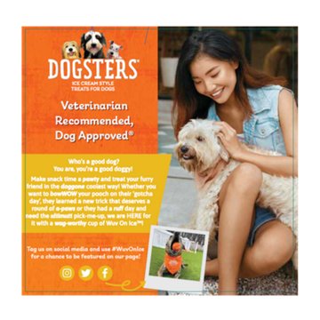 Dogsters Pumpkin Ice Cream Dog Treats, 4 ct