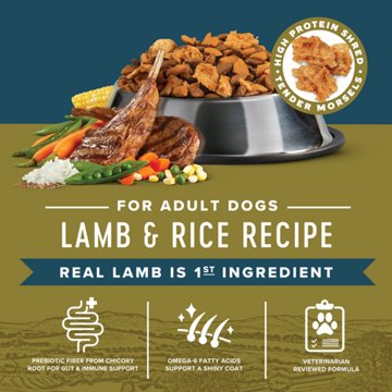 H-E-B Market Blend Adult Dry Dog Food – Lamb & Rice, 15 lbs