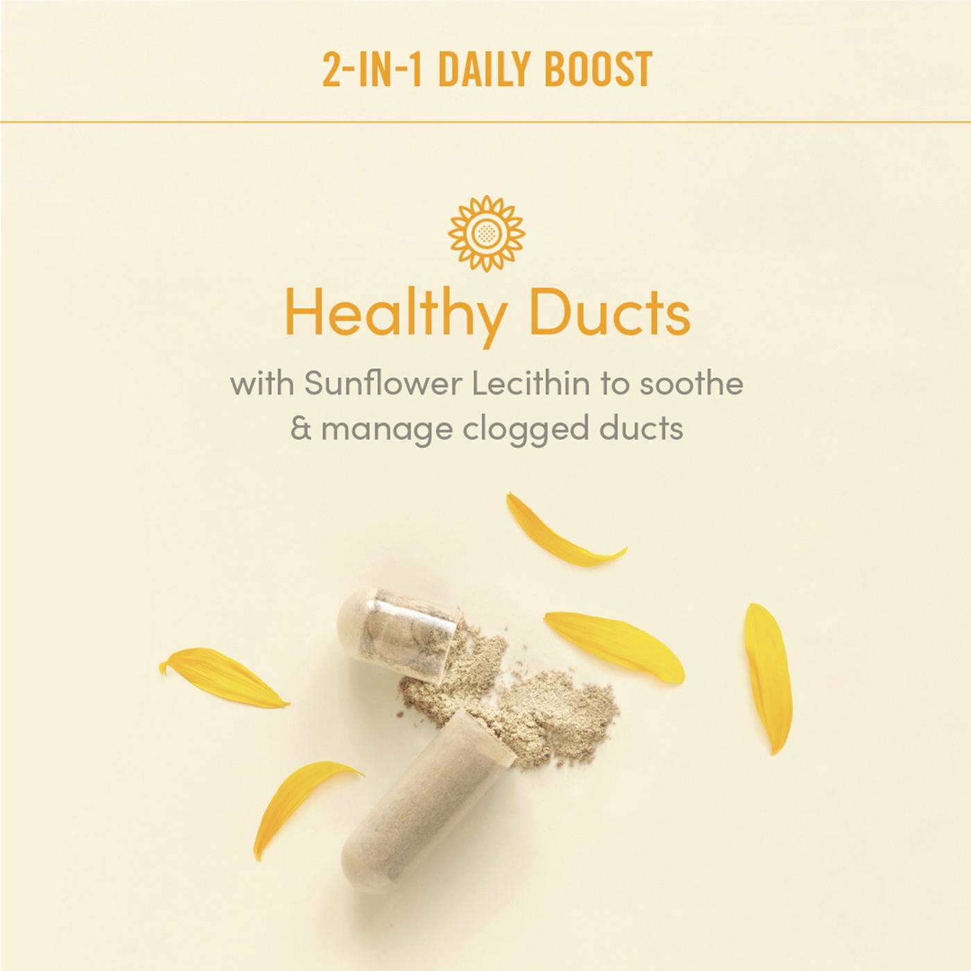 Munchkin Daily Boost 2-IN-1 Lactation Capsules; image 2 of 6