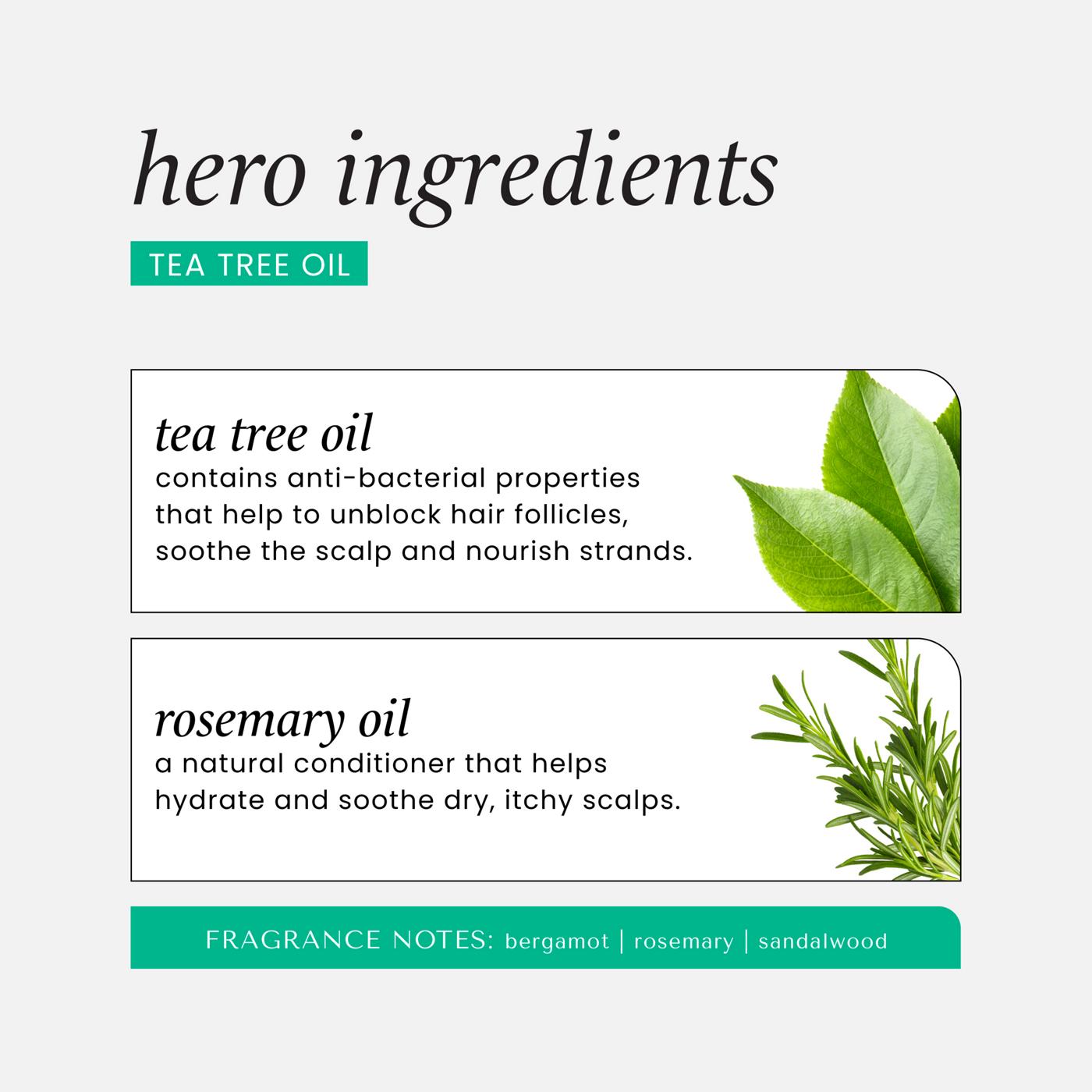 HASK Tea Tree Oil & Rosemary Scalp Relief Serum; image 5 of 5