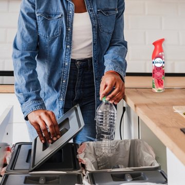 FEBREZE Febreze Air Mist Watermelon, 8.1 oz