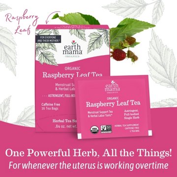 Earth Mama Organic Raspberry Leaf Tea Bags, 16 ct