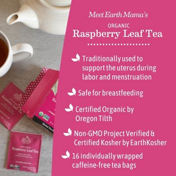 Earth Mama Organic Raspberry Leaf Tea Bags, 16 ct