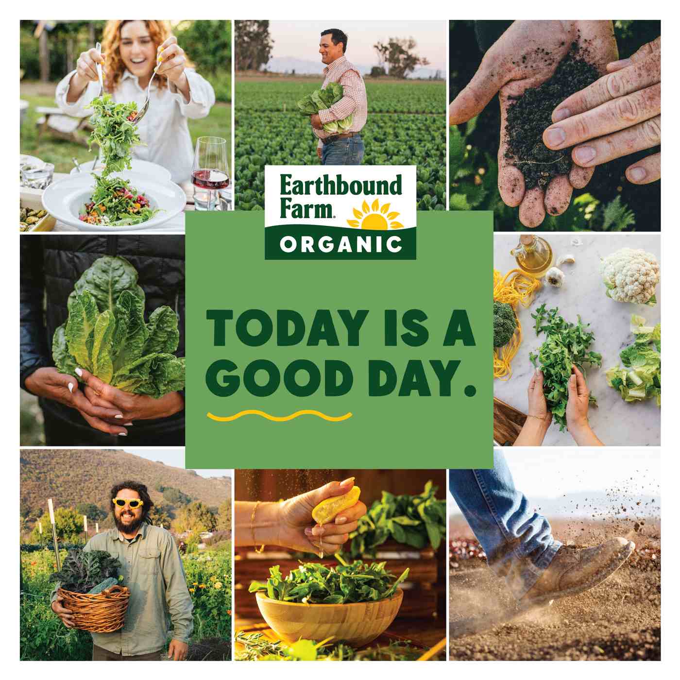 Earthbound Farm Organic Veggies Tray with Ranch Dip Shop Standard