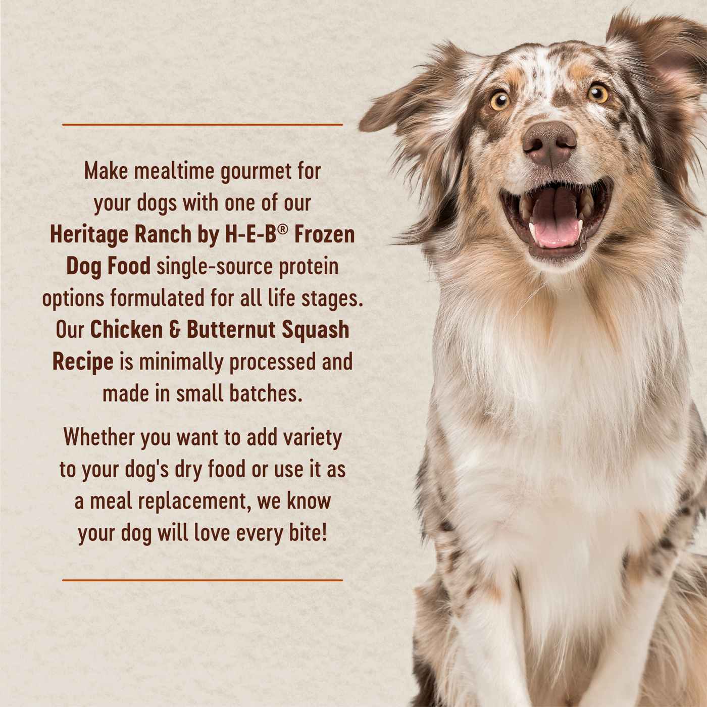 Heritage Ranch by H-E-B Frozen Dog Food - Chicken & Butternut Squash; image 3 of 7