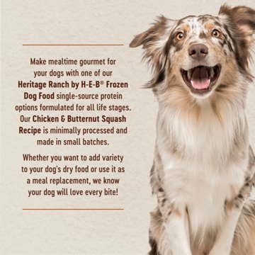 Heritage Ranch by H-E-B Frozen Dog Food - Chicken & Butternut Squash, 8 oz