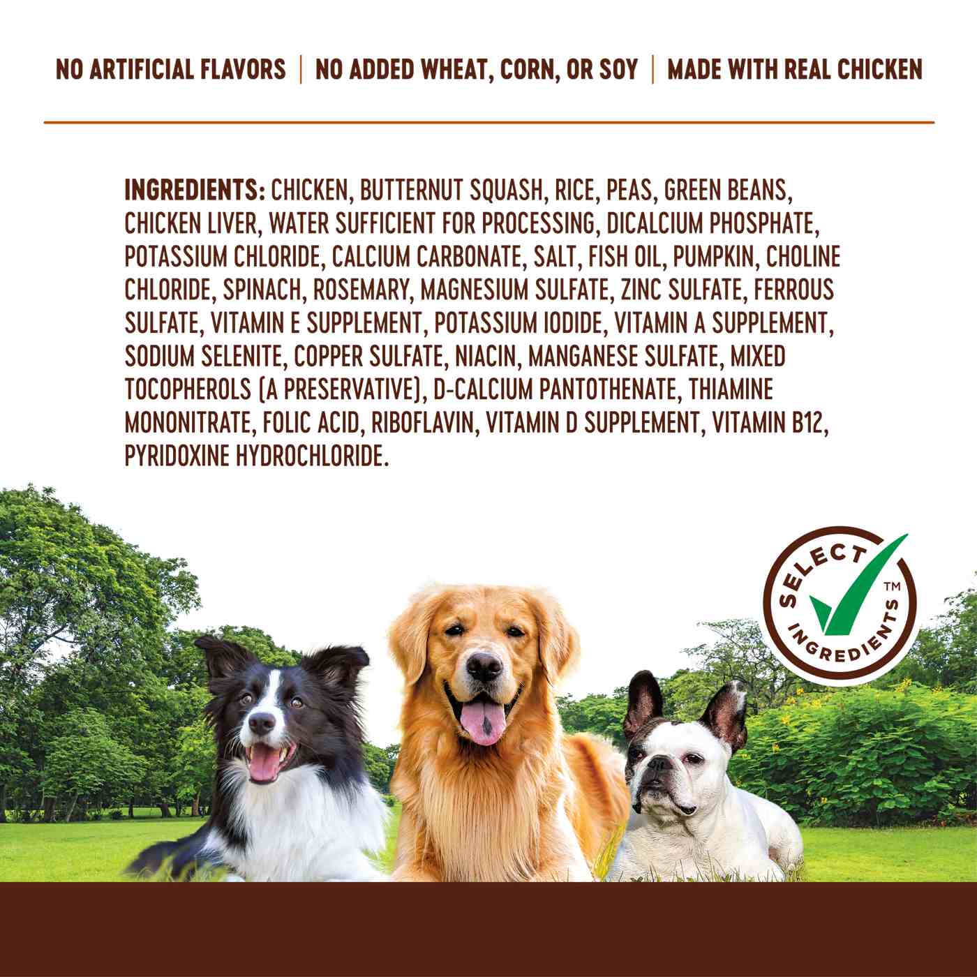 Heritage Ranch by H-E-B Frozen Dog Food - Chicken & Butternut Squash; image 2 of 2