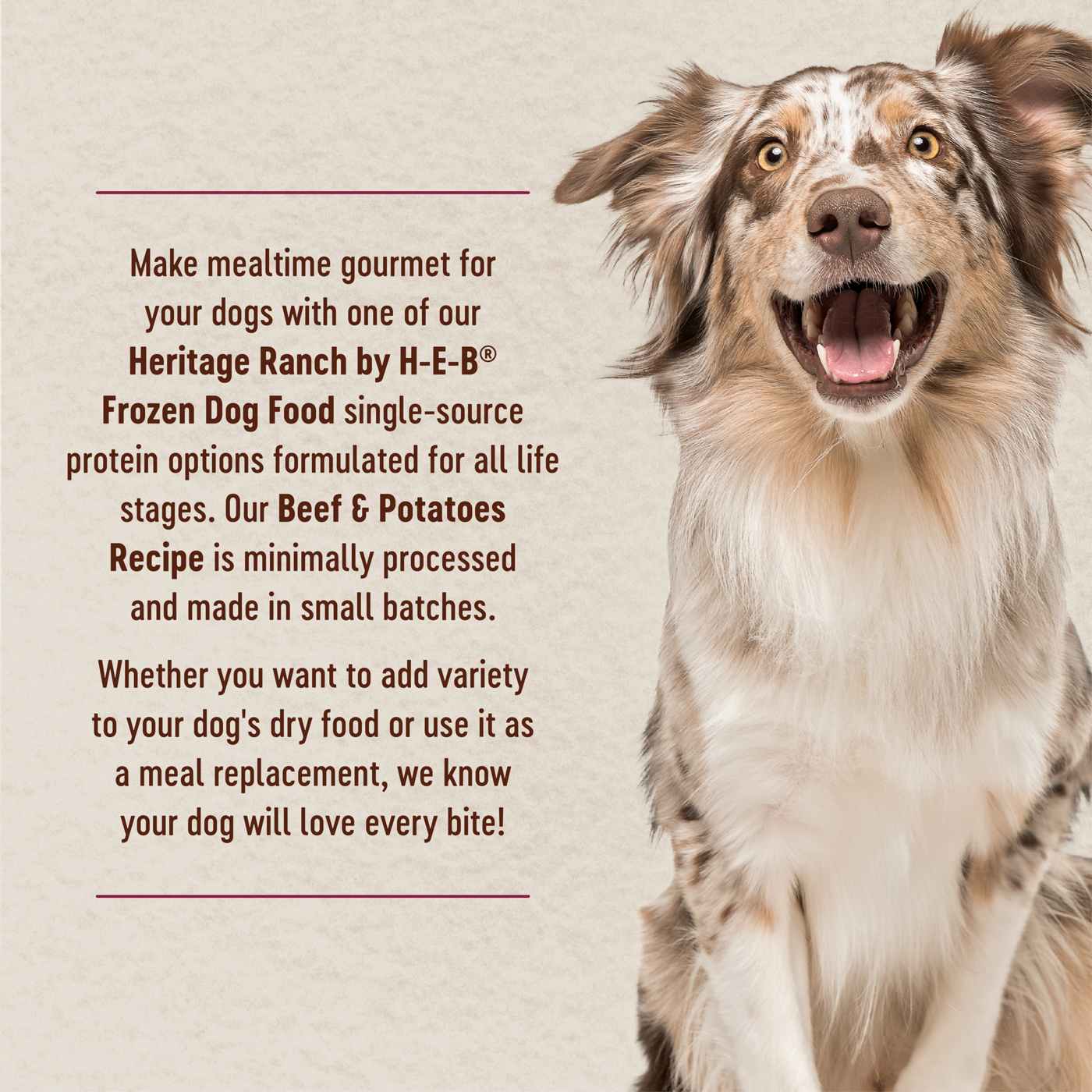 Heritage Ranch by H-E-B Frozen Dog Food Value Pack - Beef & Potatoes; image 3 of 6