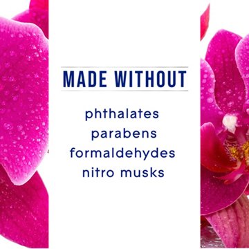 Glade Automatic Spray Air Freshener Refill - Orchid & Neroli