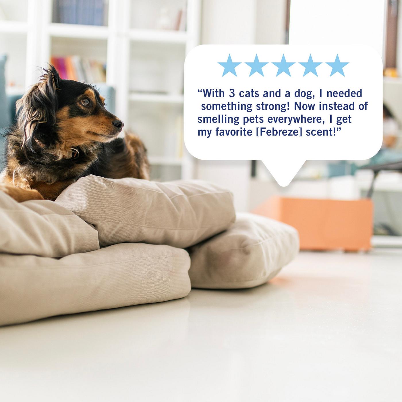 Febreze Plug In Air Freshener Scented Oil Refill - Romance & Desire; image 10 of 10