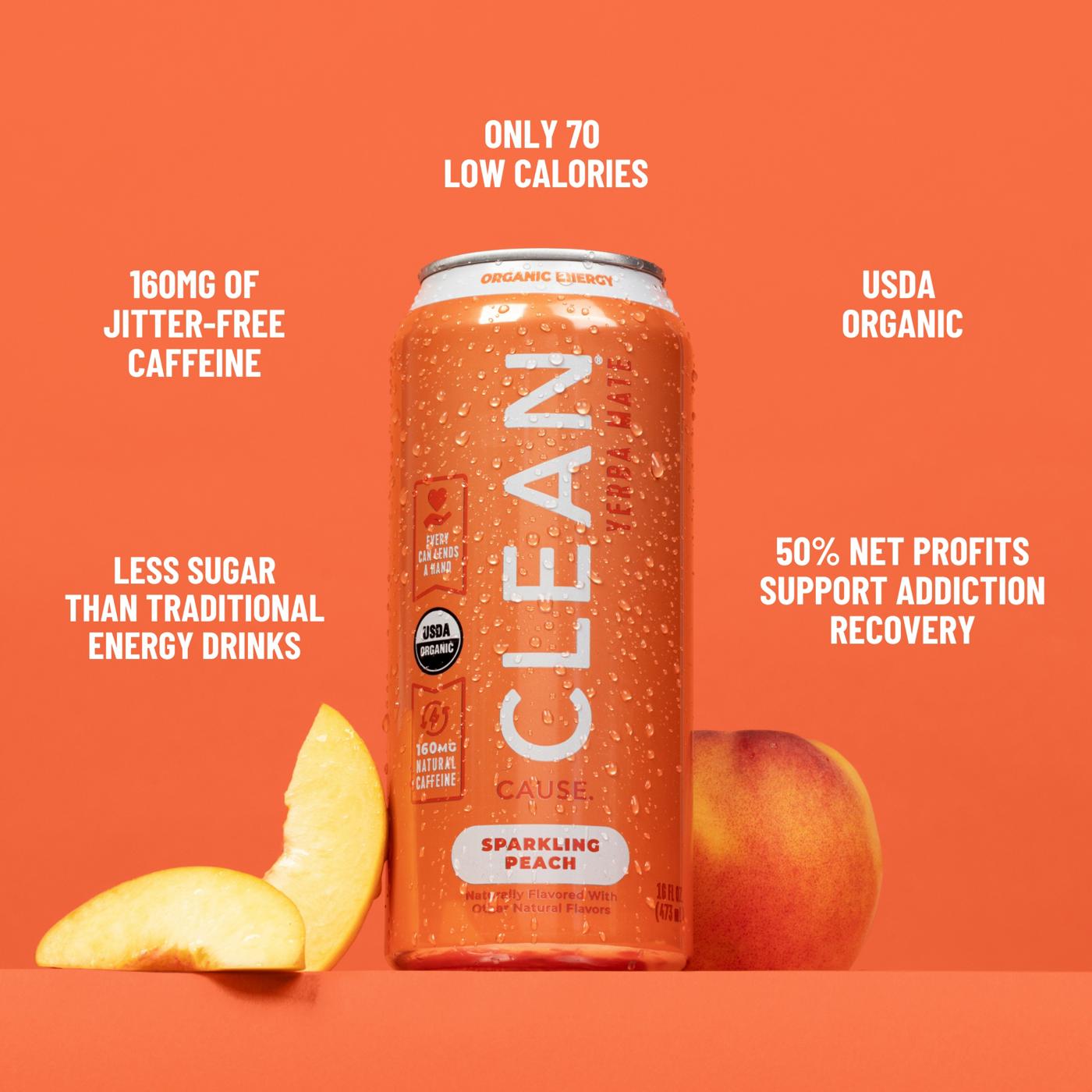 CLEAN Cause Peach Non Carbonated Organic Yerba Mate - Shop Tea at H-E-B