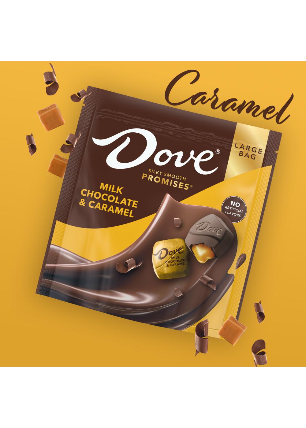 Dove Promises Milk Chocolate & Caramel Candy - Large Bag; image 3 of 3