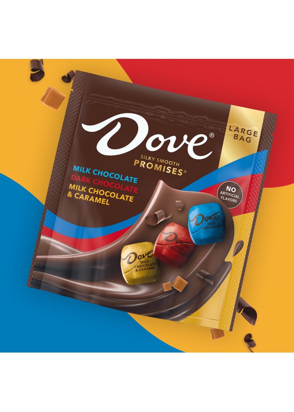 Dove Promises Assorted Chocolate Candy - Large Bag; image 6 of 7