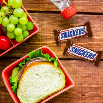 Snickers Chocolate Fun Size Candy Bars