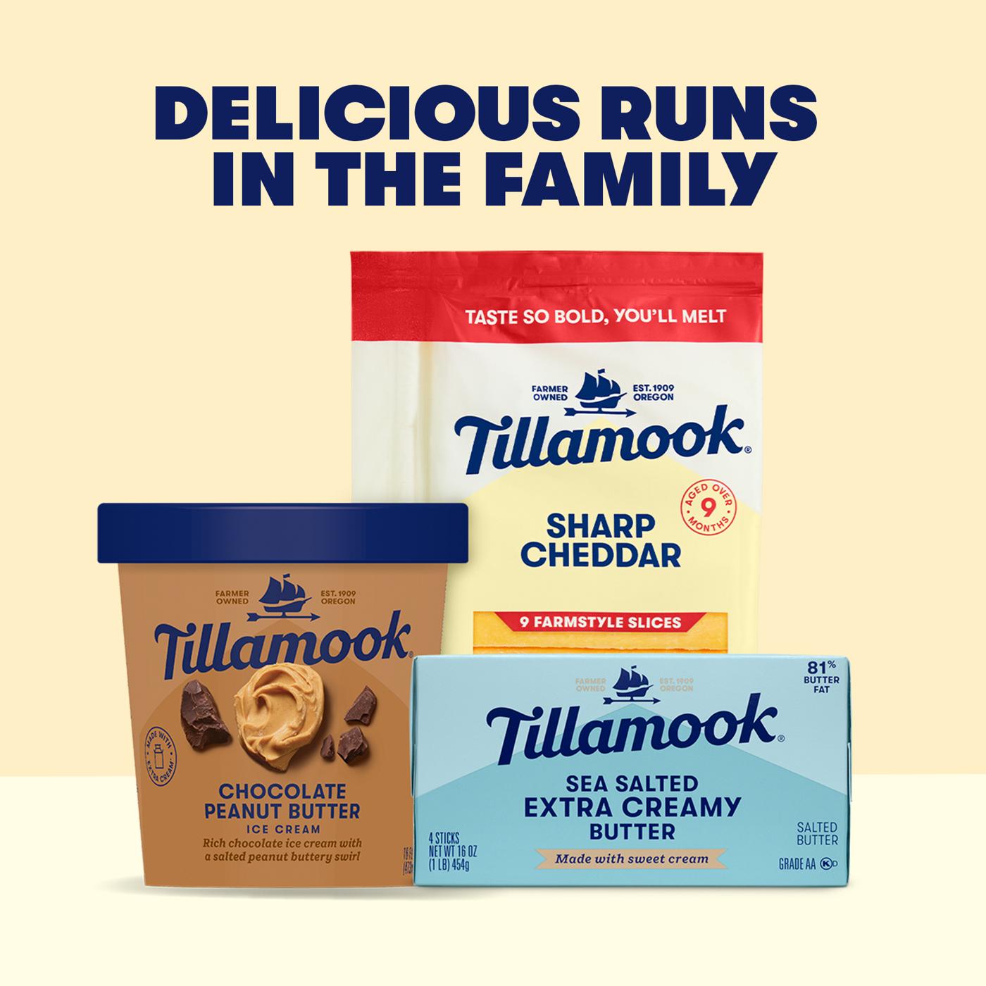 Tillamook Coffee Almond Fudge Ice Cream; image 3 of 5