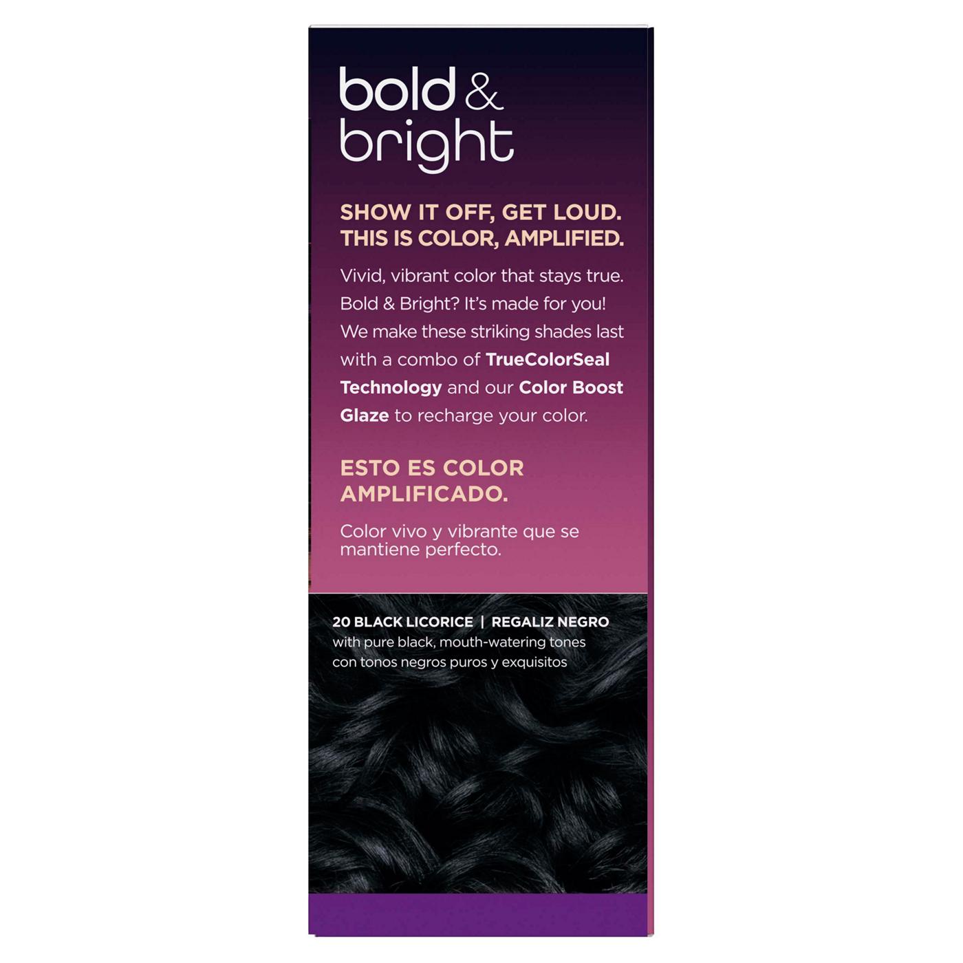 Clairol Bold & Bright Permanent Hair Color - 20 Black Licorice; image 11 of 11