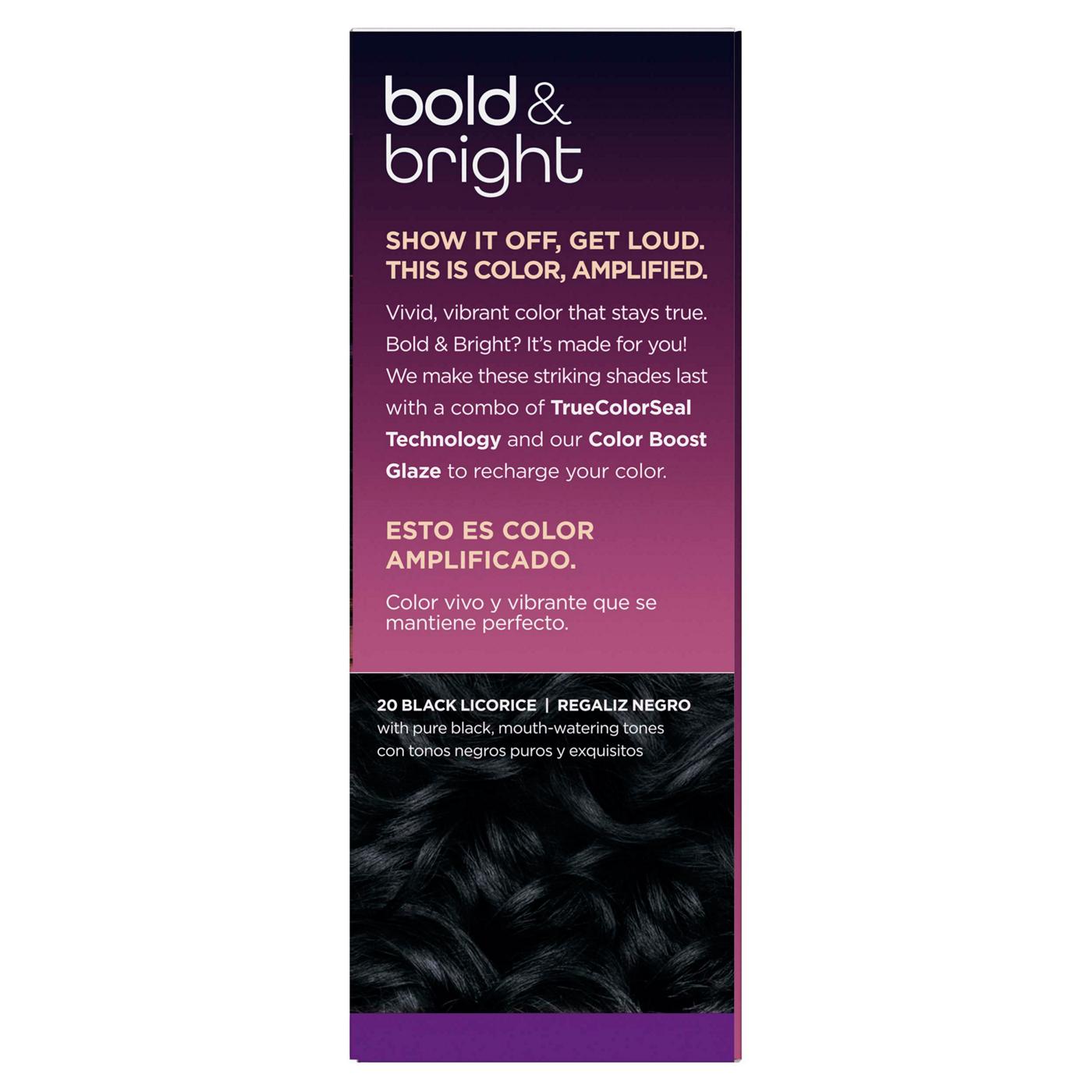 Clairol Bold & Bright Permanent Hair Color - 20 Black Licorice; image 5 of 11