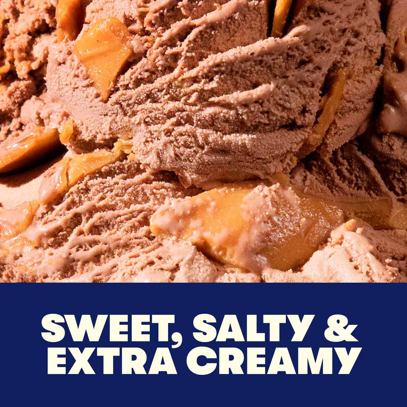Tillamook Chocolate Peanut Butter Ice Cream; image 2 of 5