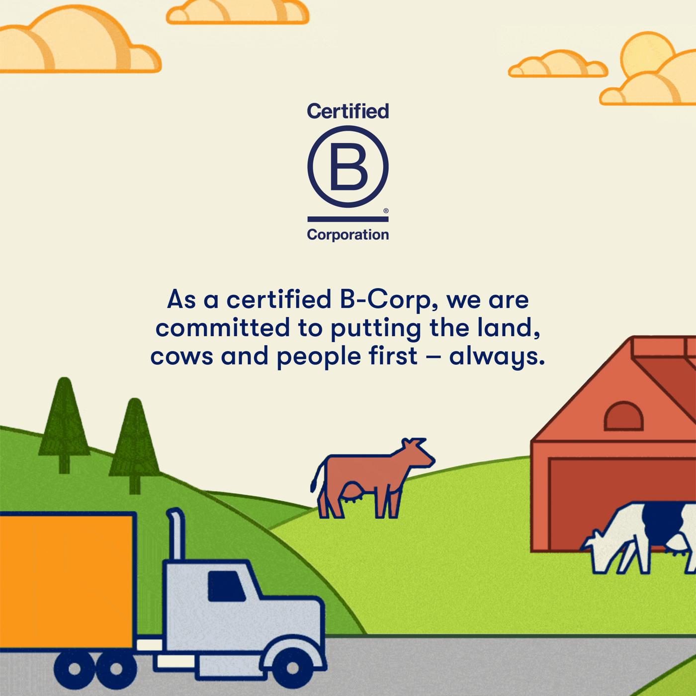 Tillamook Chocolate Peanut Butter Ice Cream; image 4 of 5