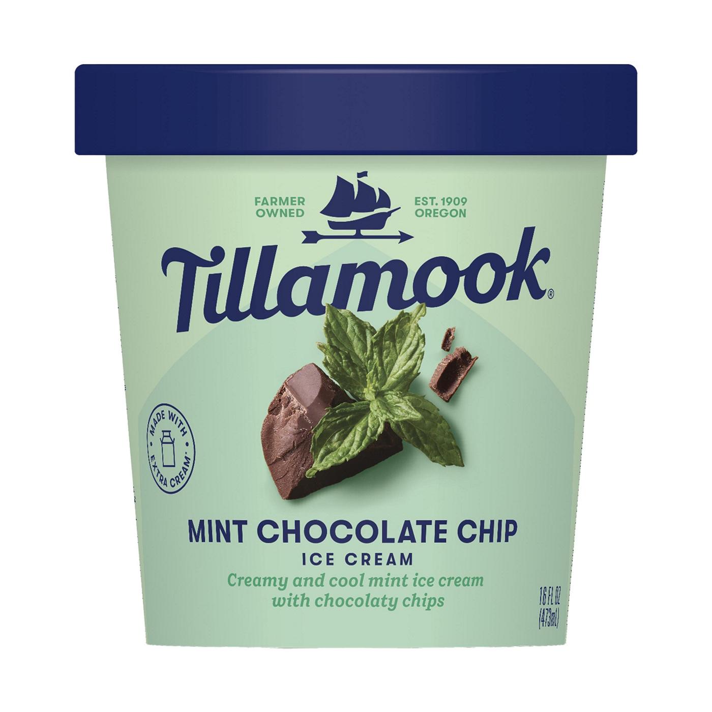 Tillamook Mint Chocolate Chip Ice Cream; image 1 of 3