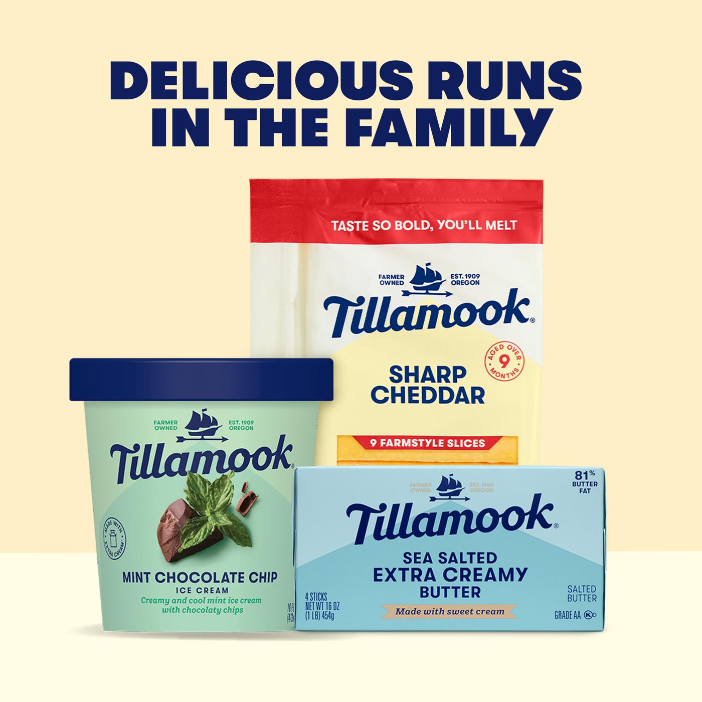 Tillamook Mint Chocolate Chip Ice Cream; image 2 of 3