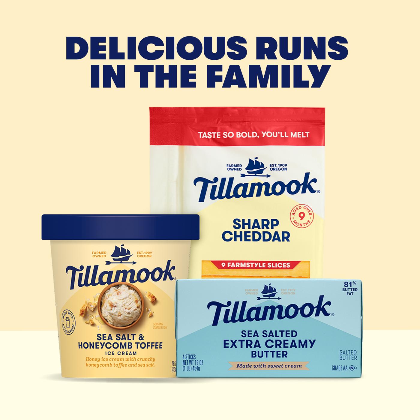 Tillamook Sea Salt & Honeycomb Toffee Ice Cream; image 2 of 2
