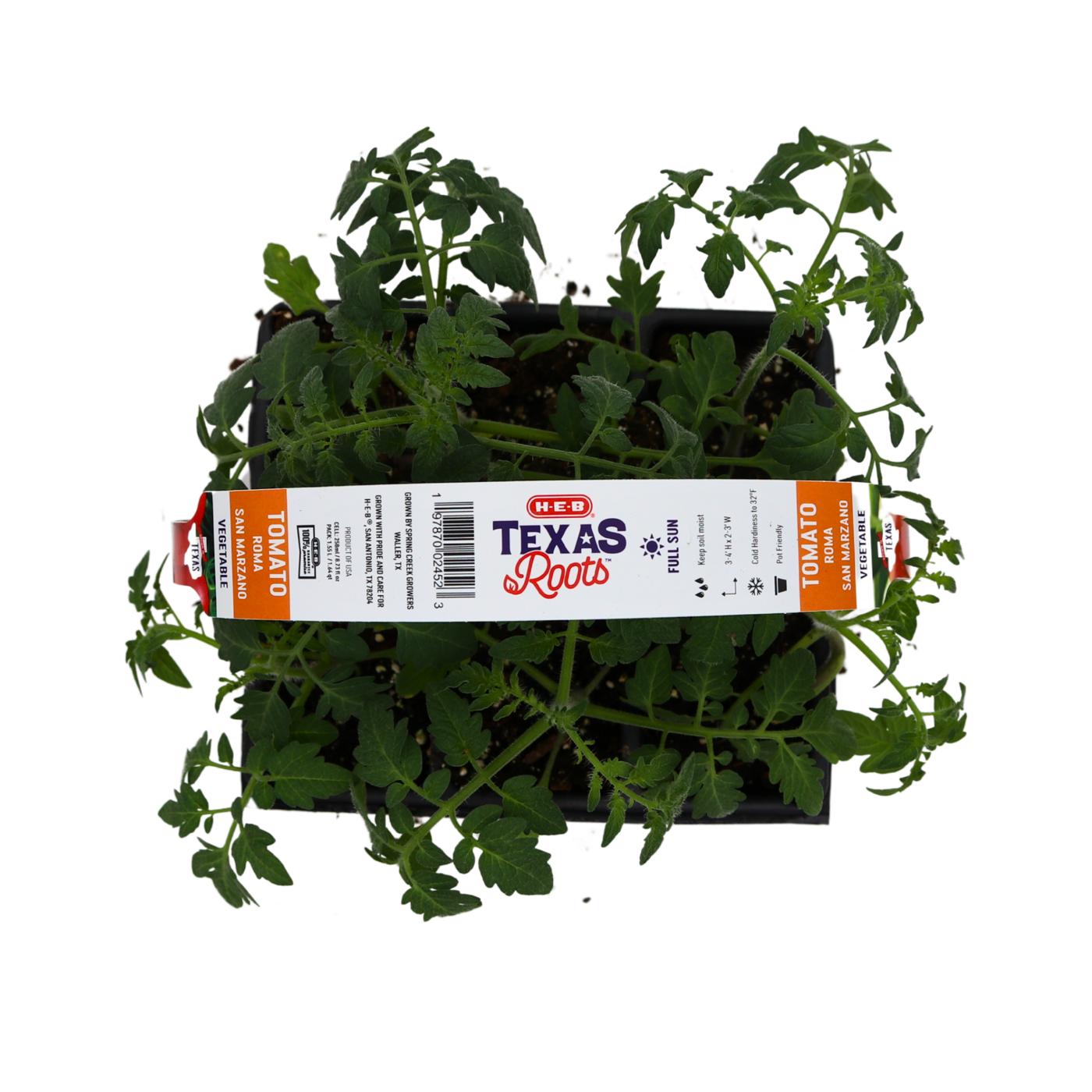 H-E-B Texas Roots San Marzano Roma Tomato Plant; image 3 of 3