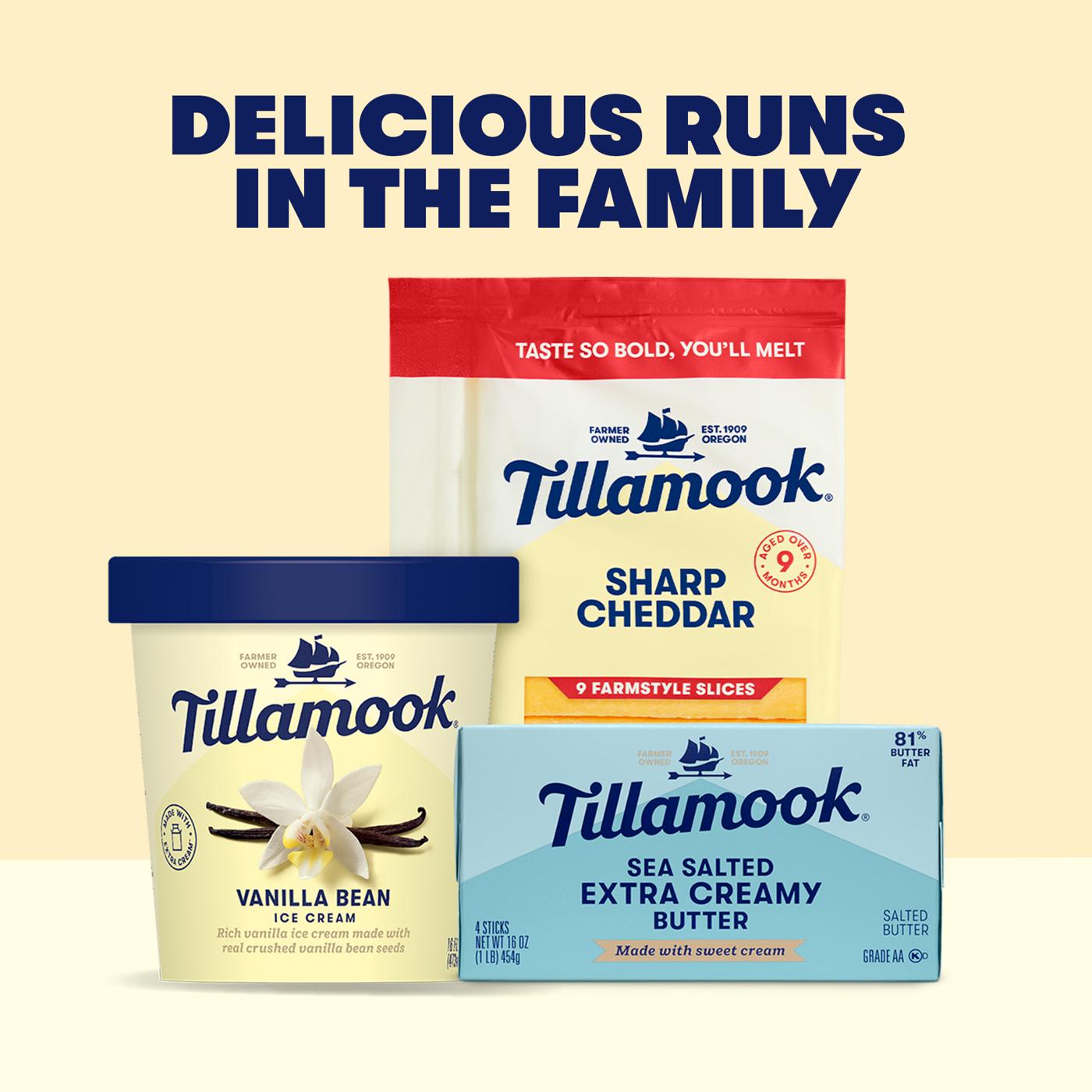 Tillamook Vanilla Bean Ice Cream; image 3 of 5