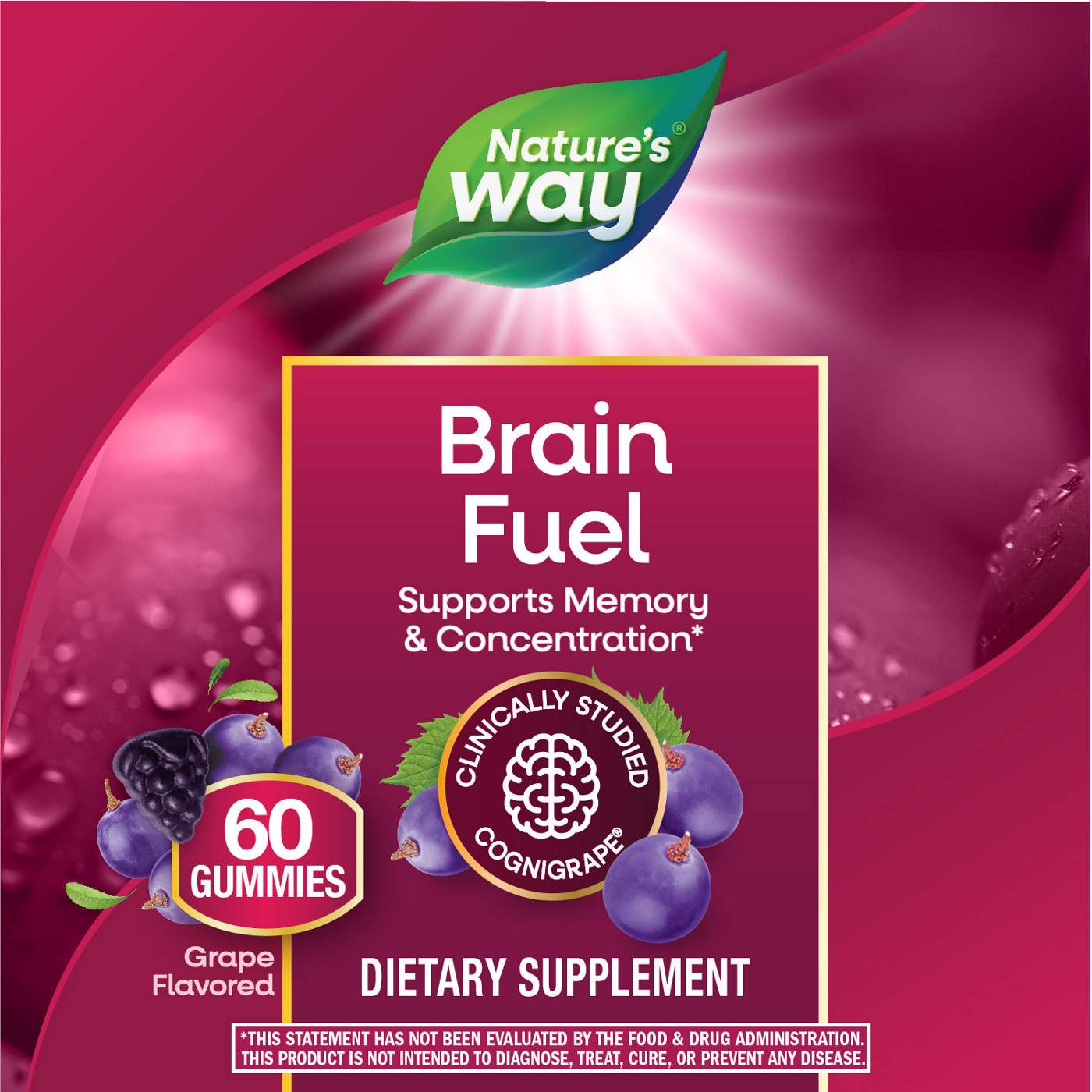 Nature's Way Brain Fuel Gummies - Grape; image 3 of 6