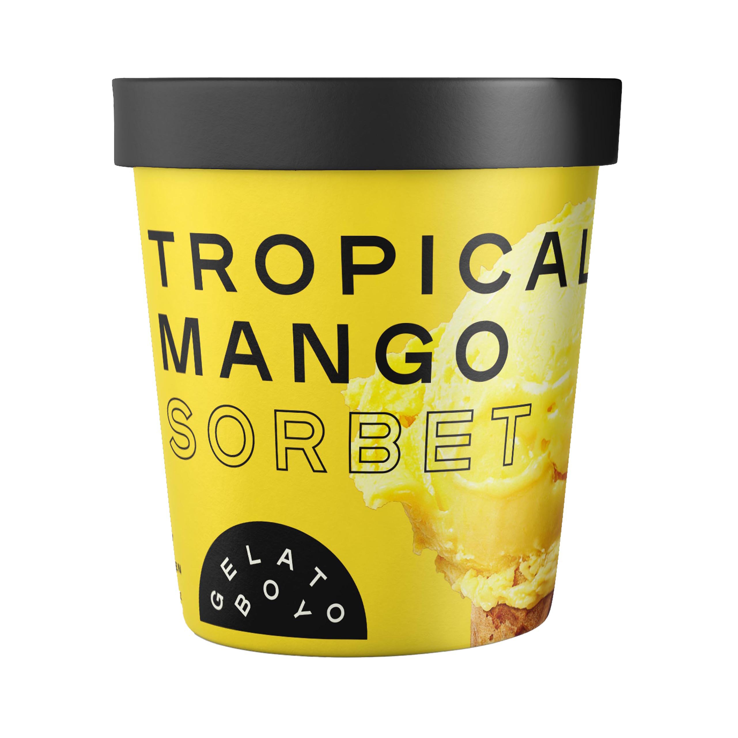 Gelato Boy Tropical Mango Sorbet Shop Sorbet At H E B