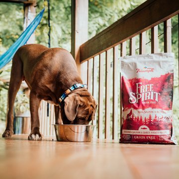 Triumph Free Spirit Grain-Free Salmon & Sweet Potato Recipe Dry Dog Food