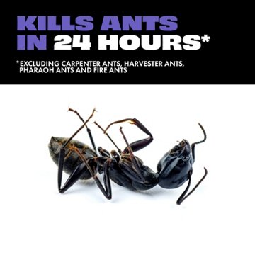 STEM Liquid Ant Bait