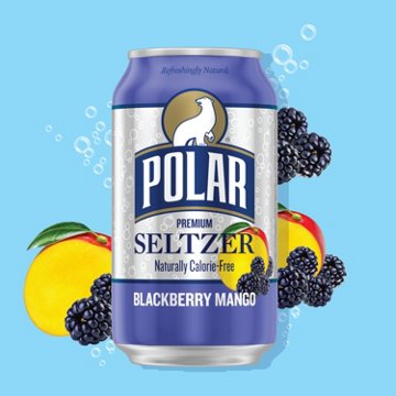 Polar Seltzer Water Blackberry Mango 8 pk Cans