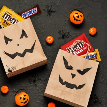 M&M'S & Snickers Peanut Lovers Assorted Fun Size Chocolate Candy - Party Size