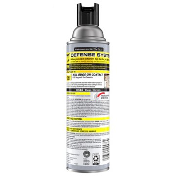 Raid Max Foaming Wasp & Hornet Killer