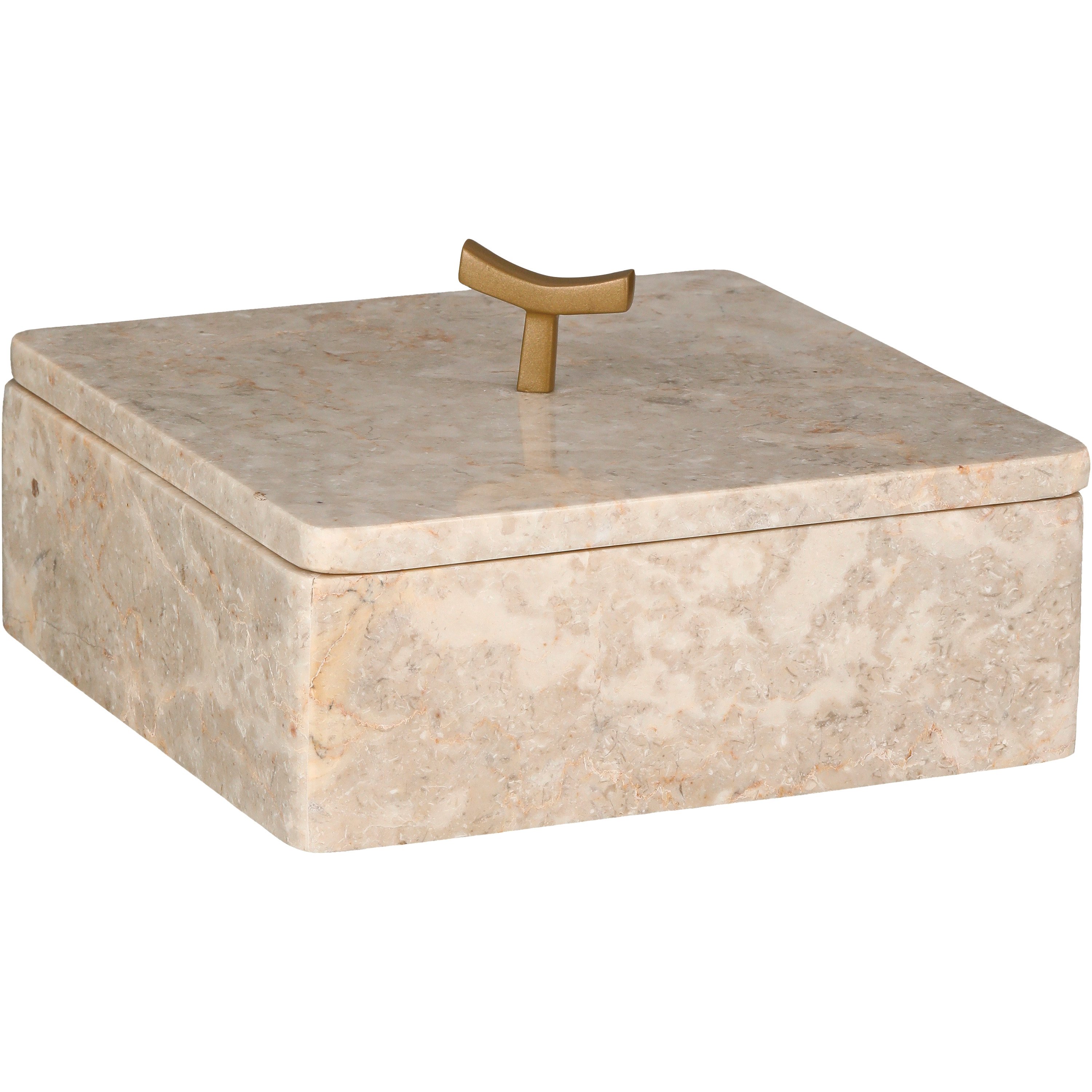 Haven + Key Cream Marble Box - Shop Seasonal decor at H-E-B