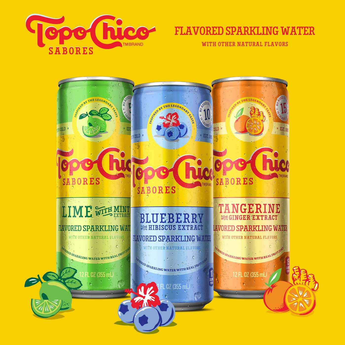 Topo Chico Topo Chico Sabores Blueberry With Hibiscus; image 5 of 6