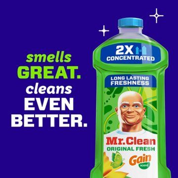 Mr. Clean All Purpose Cleaner - Gain