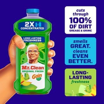 Mr. Clean All Purpose Cleaner - Gain