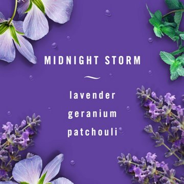Febreze Auto Fabric Refresher - Midnight Storm