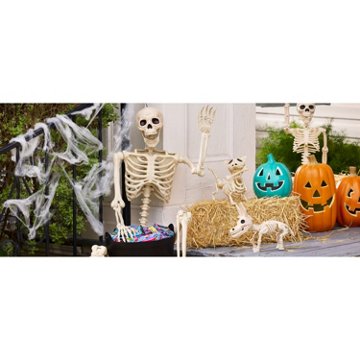 Destination Holiday Halloween Light Up Jack-O-Lantern, 16"